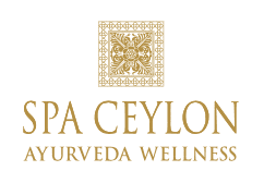 Logo for Spa Ceylon Ayurveda Wellness featuring a golden intricate design.