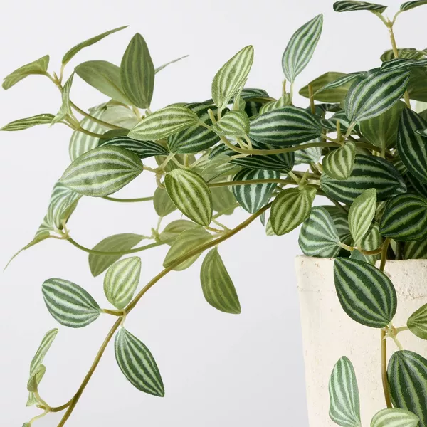 10" Small Trailing Peperomia Artificial Plant - Hearth & Hand™ with Magnolia - Image 4