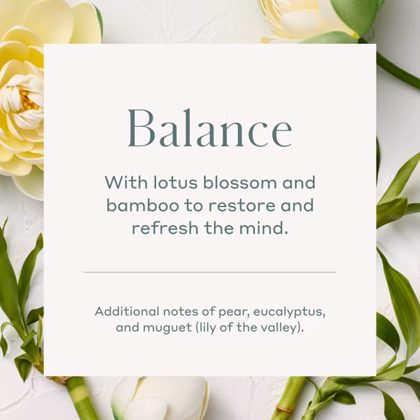 Casaluna™ - Reflection Salted Glass Wellness Jar Candle Pink 12oz - Image 5