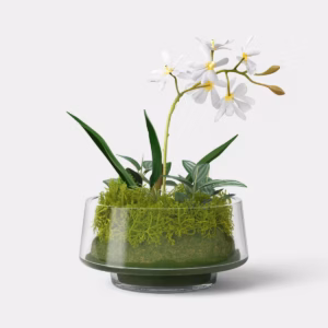Orchid Glass Terrarium - Threshold™