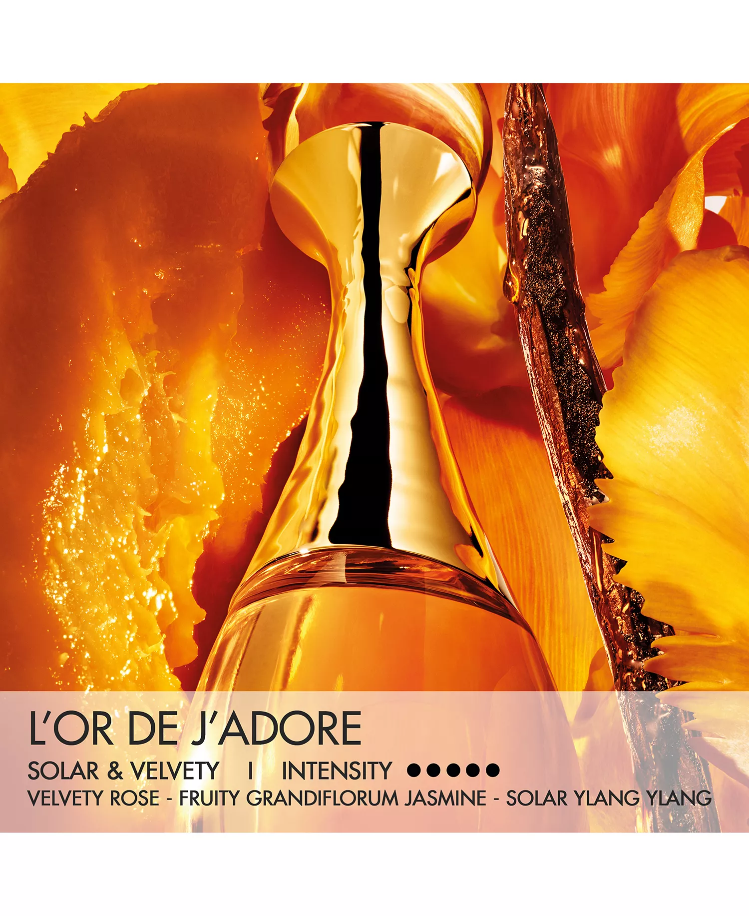 DIOR J'adore l'Or Essence de Parfum, 1.7 oz. - Image 2