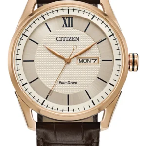 Citizen Classic Leather Strap Watch